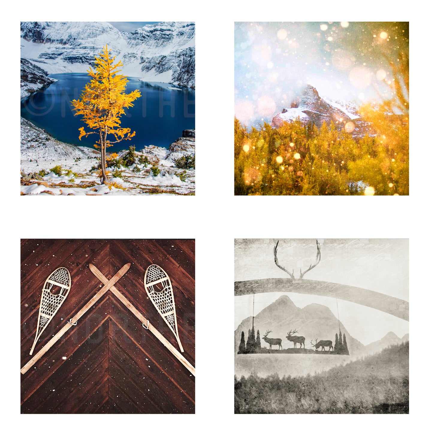 Metallic Mini Magnet Set of 4 <br> Rustic Mountain Moments No. 6