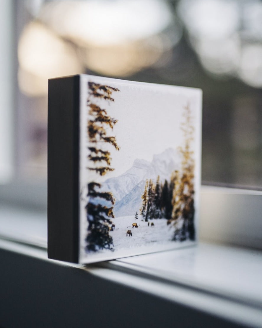 Amanecer de invierno en Canmore con Elk<br> Bloque artístico brillante exclusivo de 5x5"<br> Nuevos cantos de madera de pino.