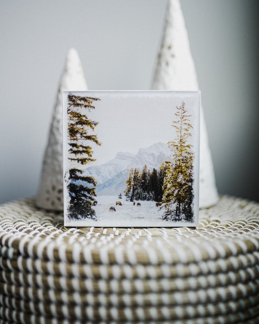 Amanecer de invierno en Canmore con Elk<br> Bloque artístico brillante exclusivo de 5x5"<br> Nuevos cantos de madera de pino.