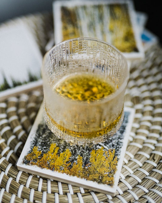 Aspen Trees in Autumn Kananaskis Canadian Rockies Birch Wood Photo Coaster