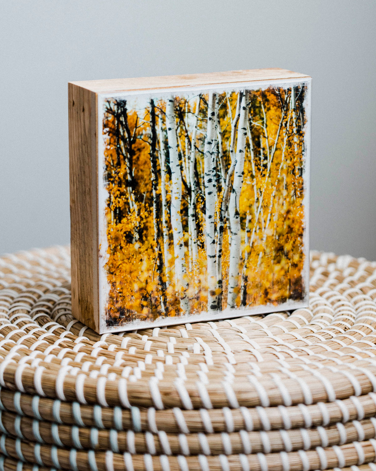 Álamos temblones de otoño en Kananaskis<br> Bloque artístico brillante exclusivo de 5x5"<br> Bordes de madera de granero rústico