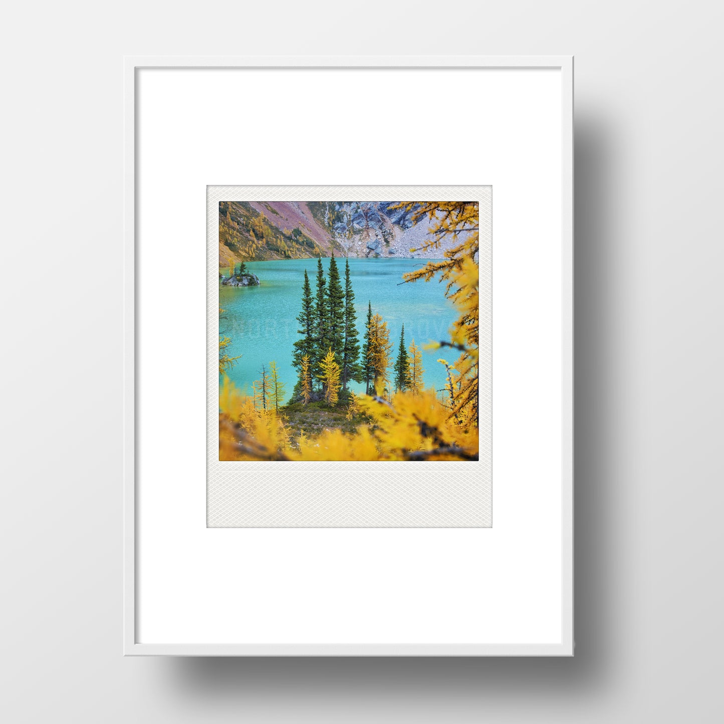 Imán Polaroid Metálico Alerces Otoñales