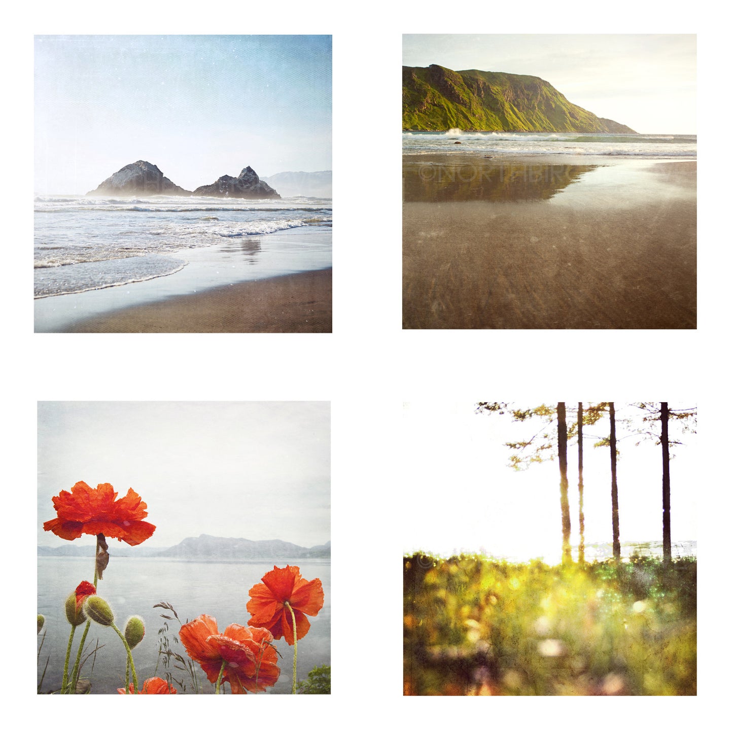 Metallic Mini Magnet Set of 4 <br> Ocean Vibes No. 2