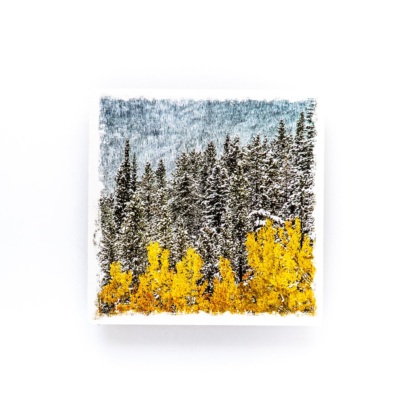 Posavasos con fotografías de madera de abedul de las Montañas Rocosas canadienses de Kananaskis en otoño