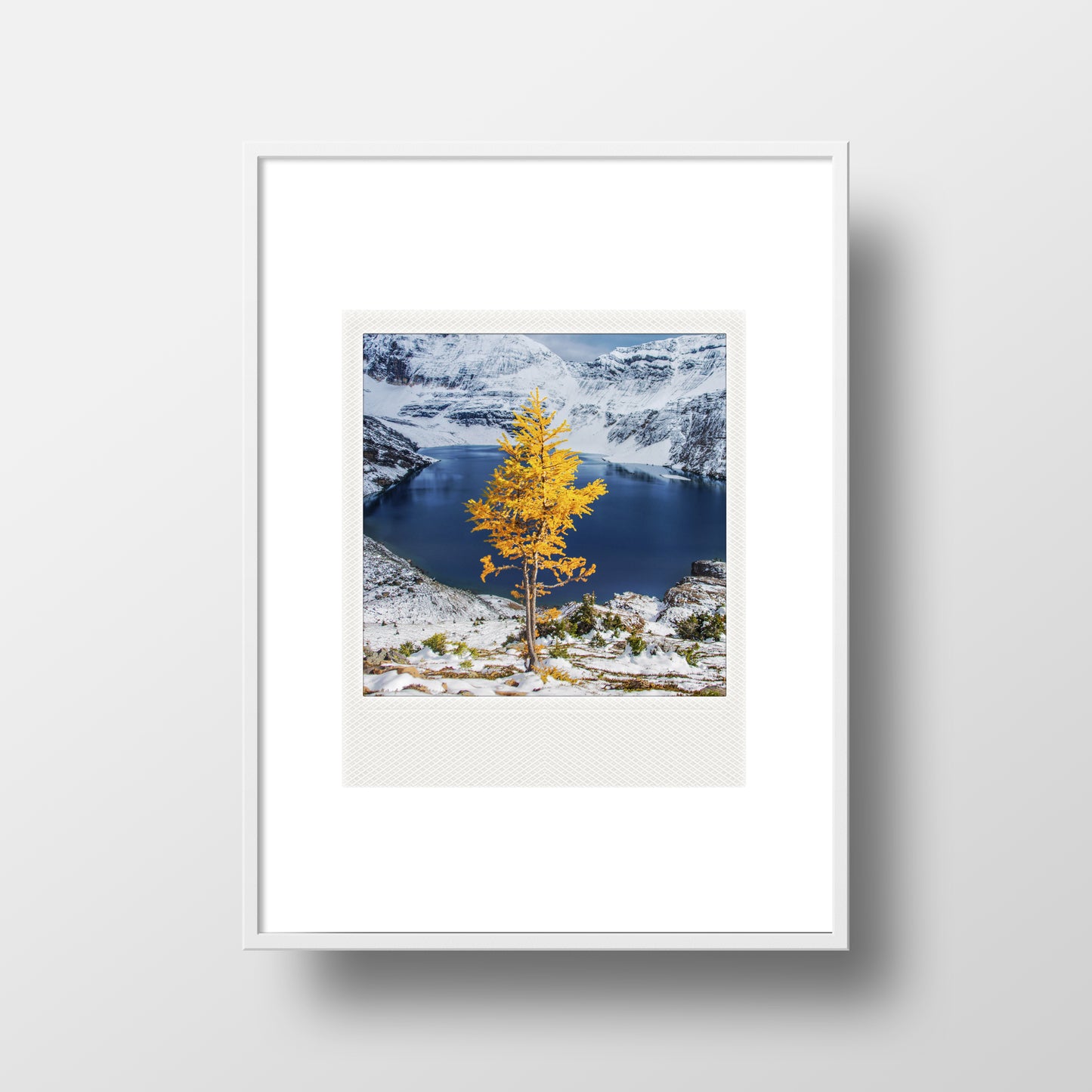 Imán Polaroid metálico<br> Alerce Solitario Parque Nacional Yoho