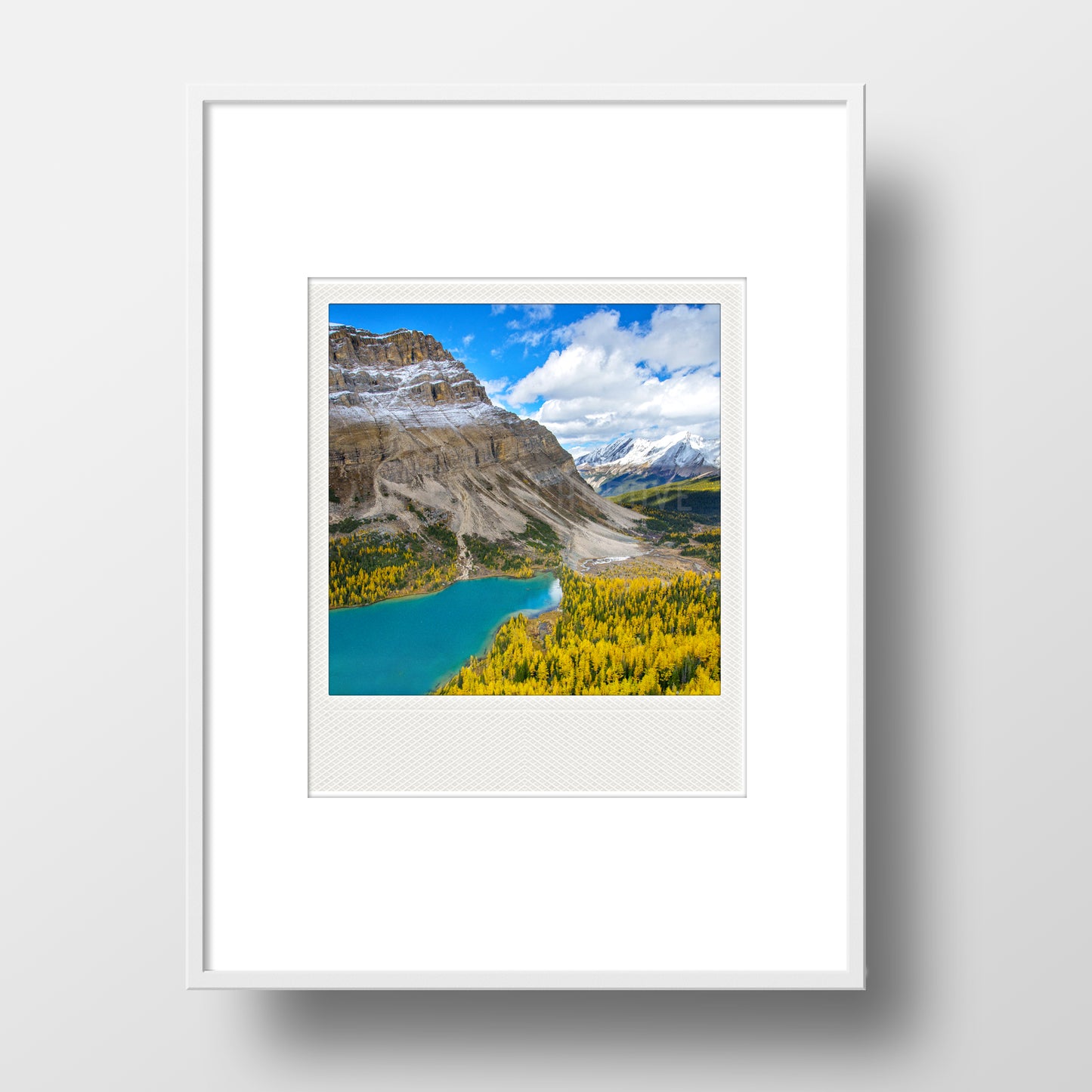Imán Polaroid metálico<br> Alerces en el Parque Nacional Banff<br> Lagos Skoki