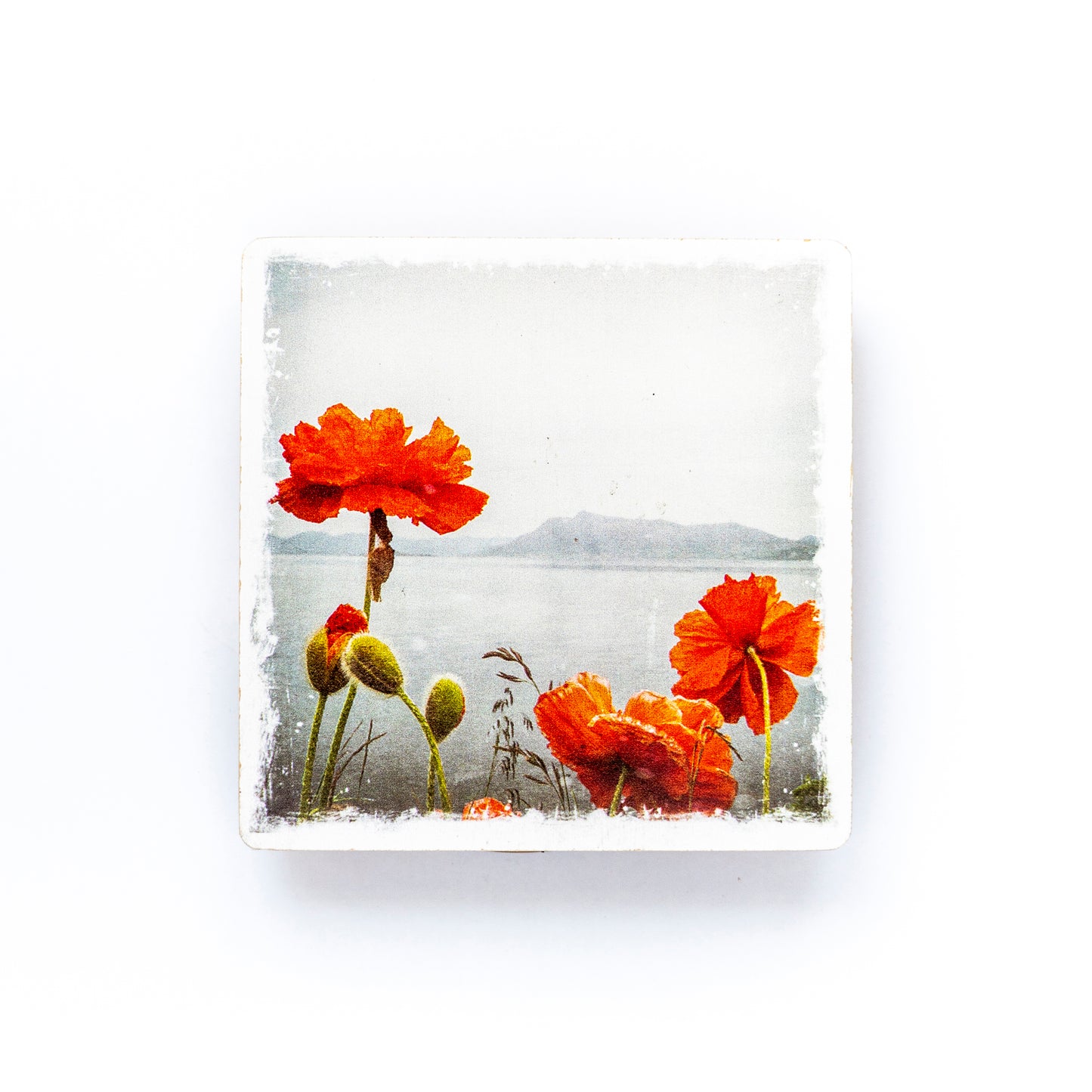 Posavasos con fotografía de madera de abedul Amapolas salvajes junto al mar