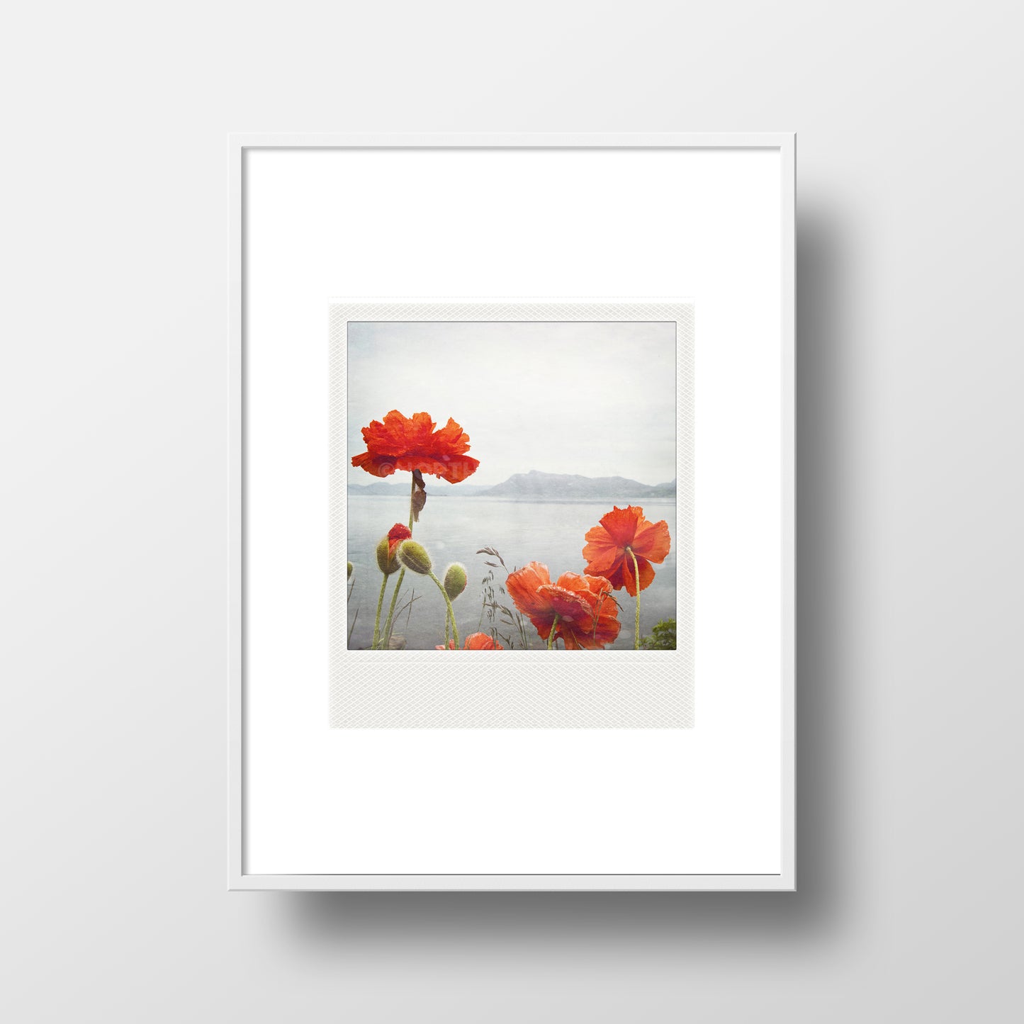 Imán Polaroid Metálico Amapolas Costeras