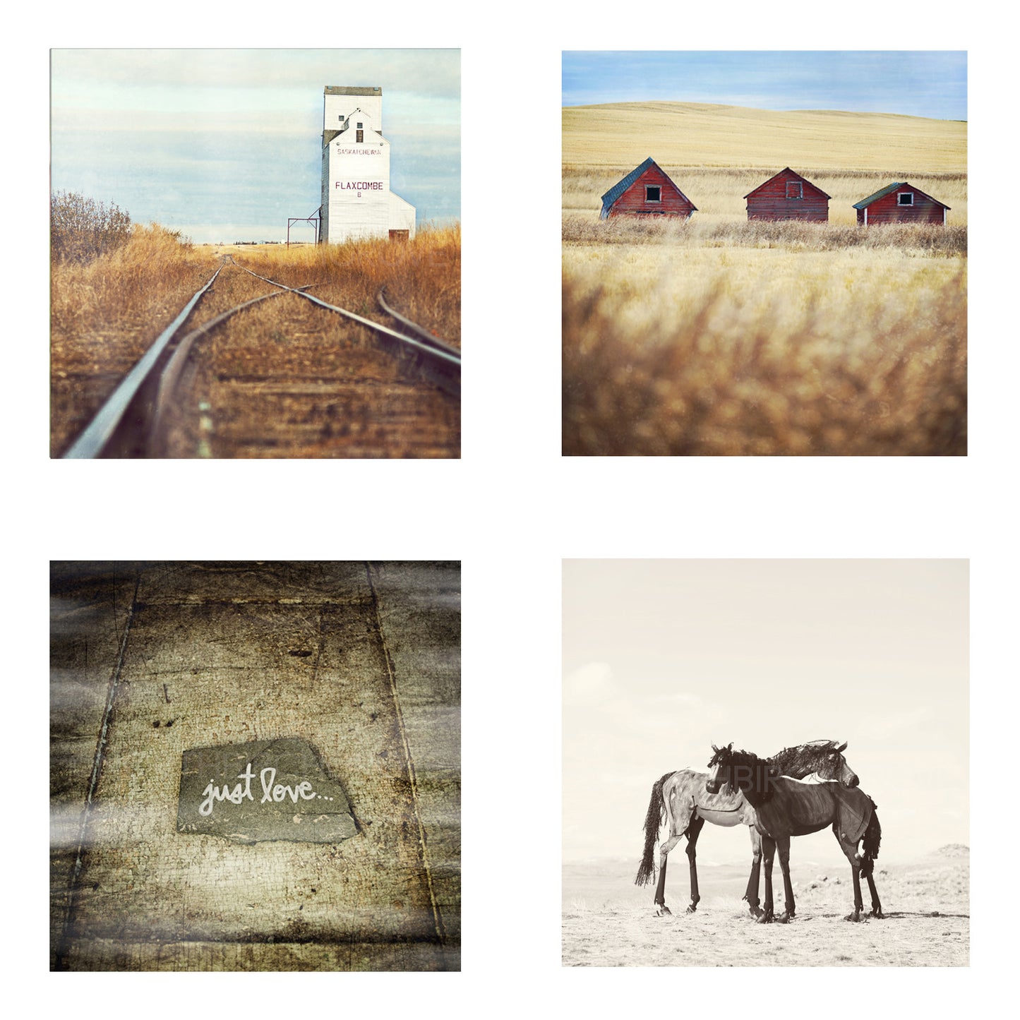 Metallic Mini Magnet Set of 4 <br> Prairie Moments