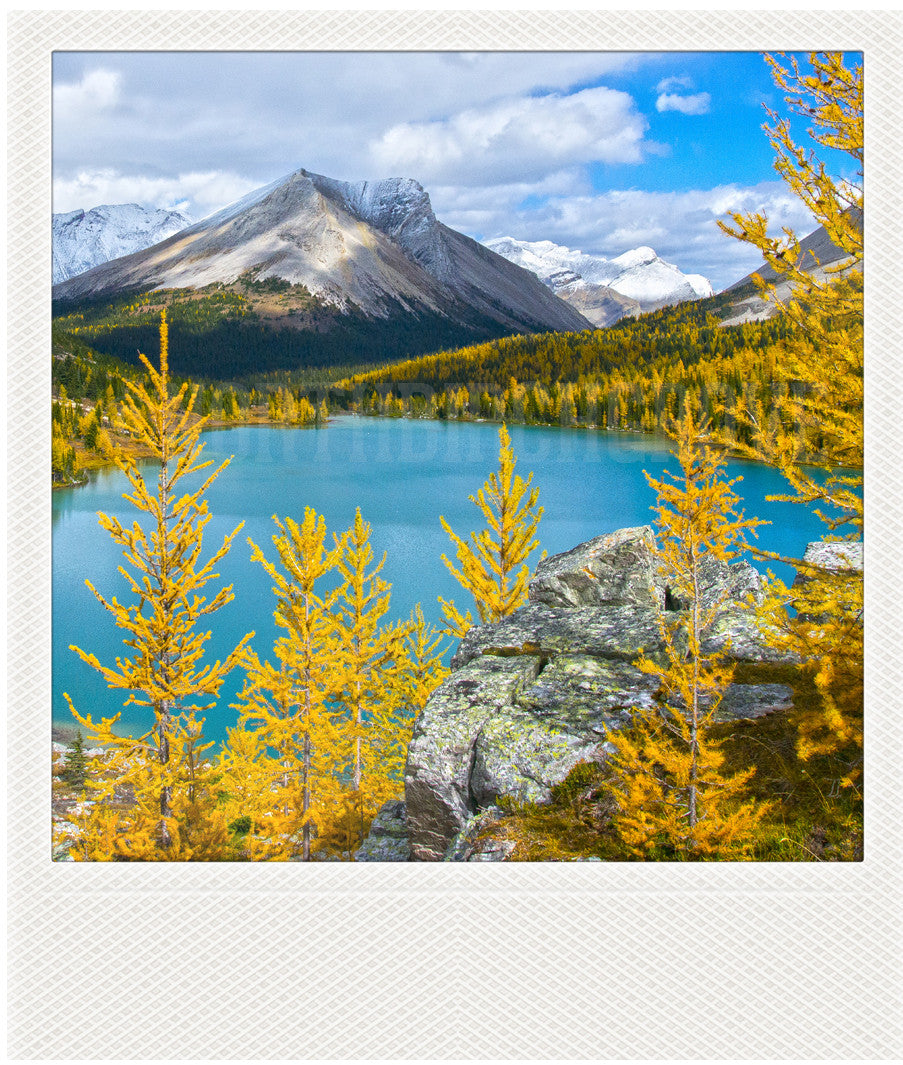 Imán Polaroid metálico<br> Paisajes de montaña de Alberta