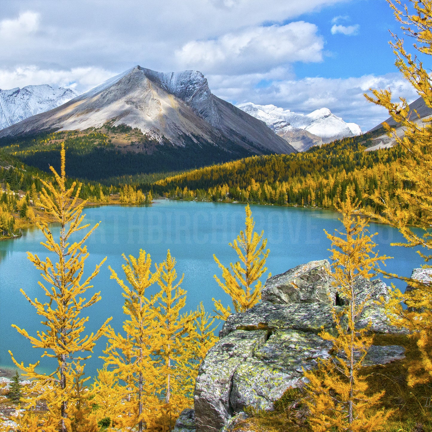 Morning Light in Banff National Park <br> Archival Fine Art Chromogenic Print