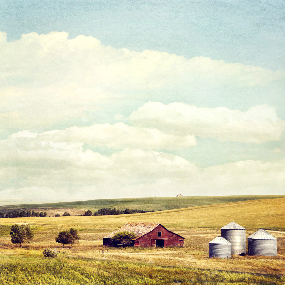 Granja en verano<br> Estándar Alberta<br> Impresión cromogénica de bellas artes de archivo