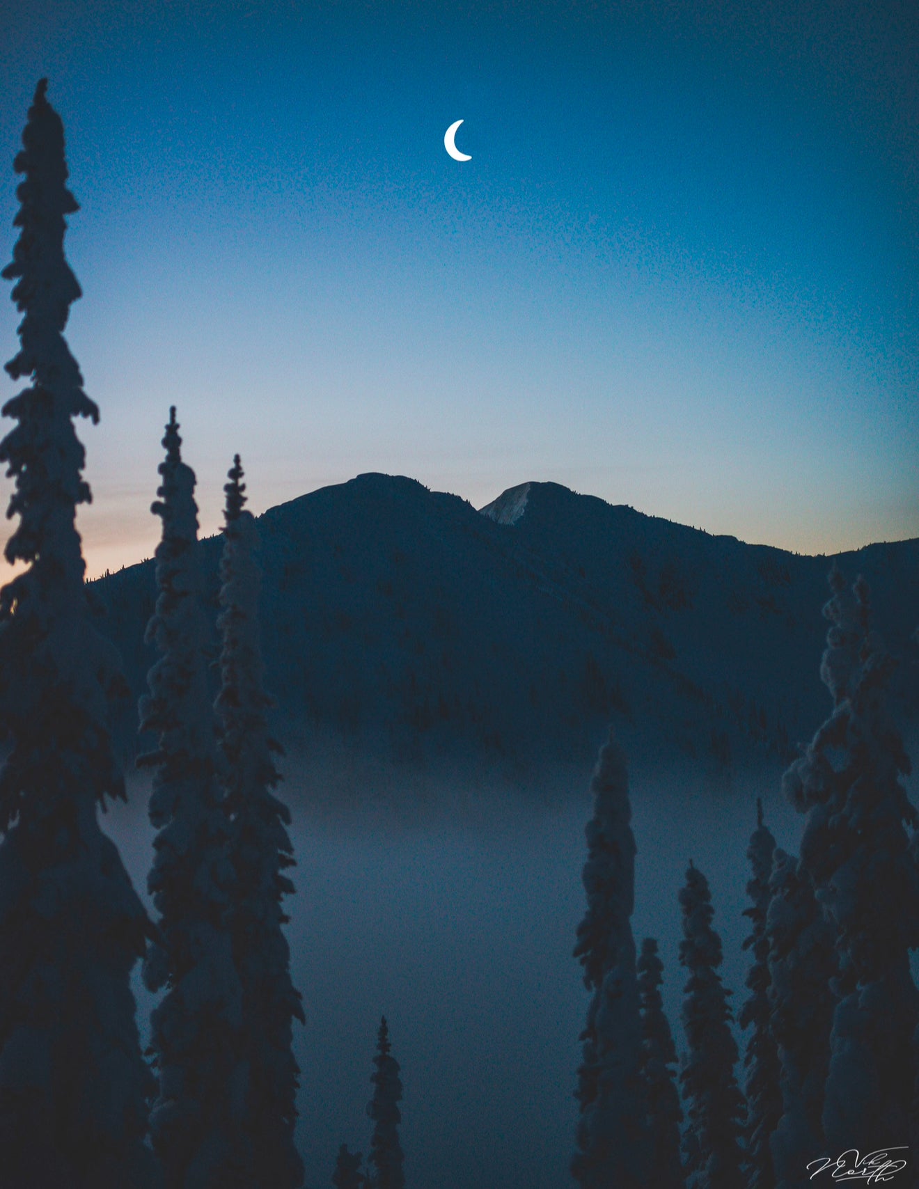 Winter Moonrise