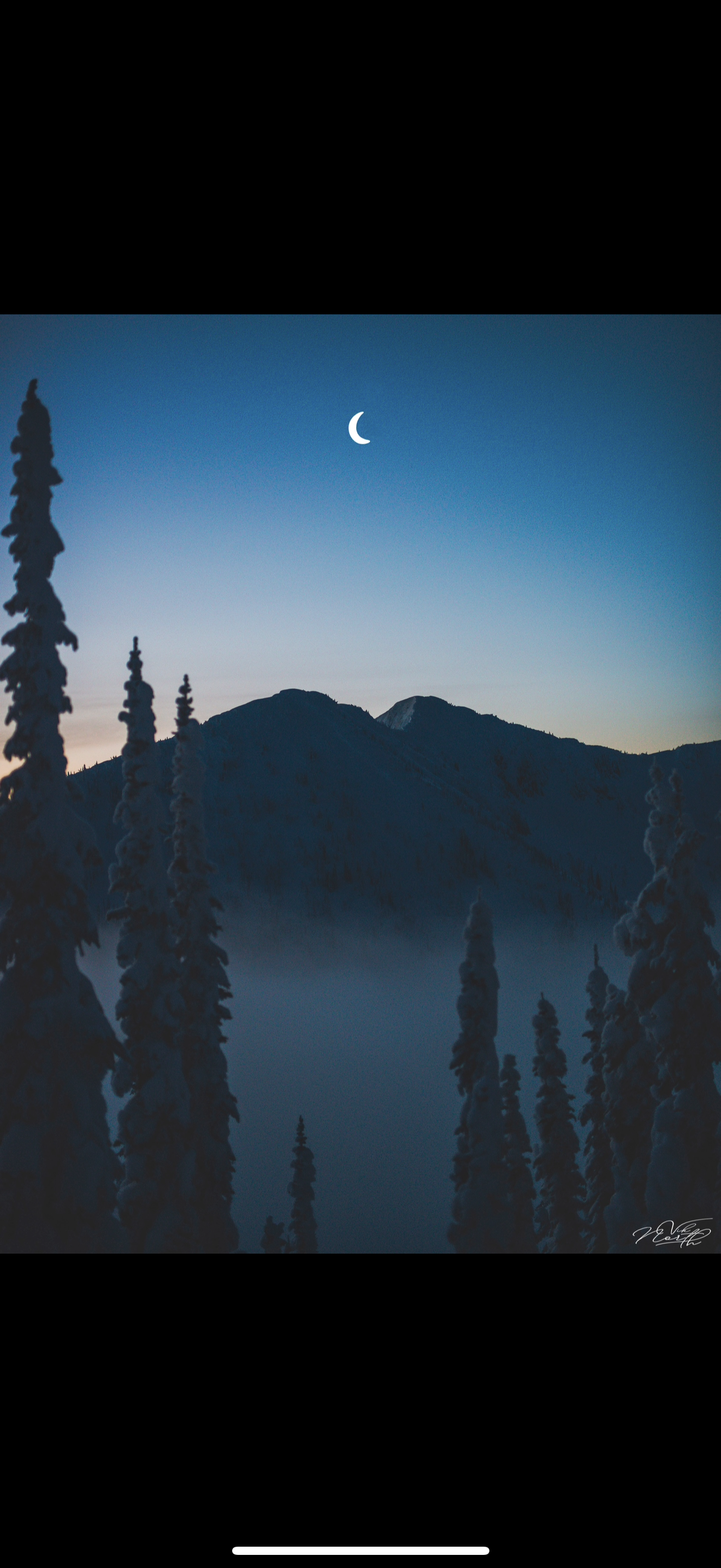 Winter Moonrise