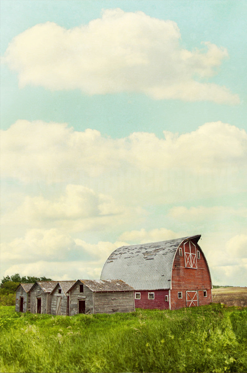 Canadian Red Barn in Summer <br>Limited Edition Archival Fine Art Chromogenic Print