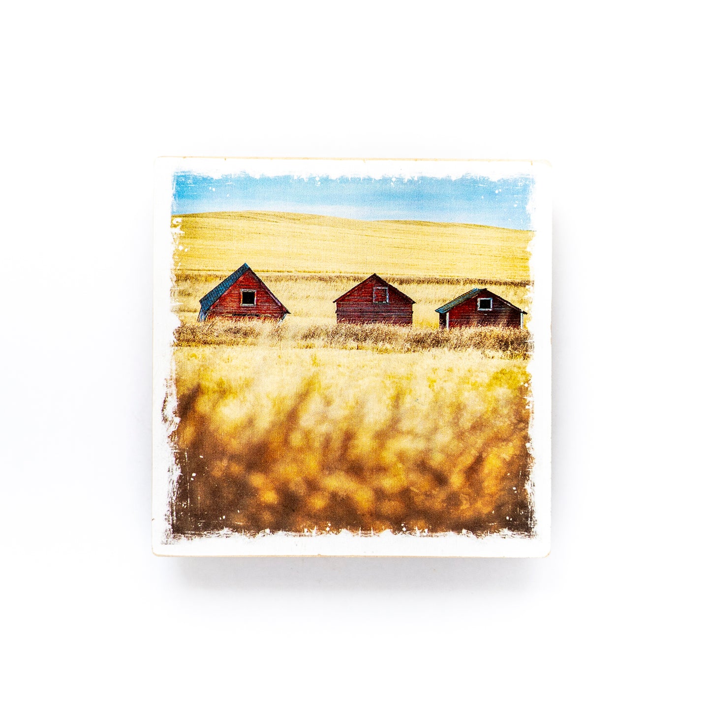 Three Red Barns in Saskatchewan Winter Birch Wood Photo Coaster