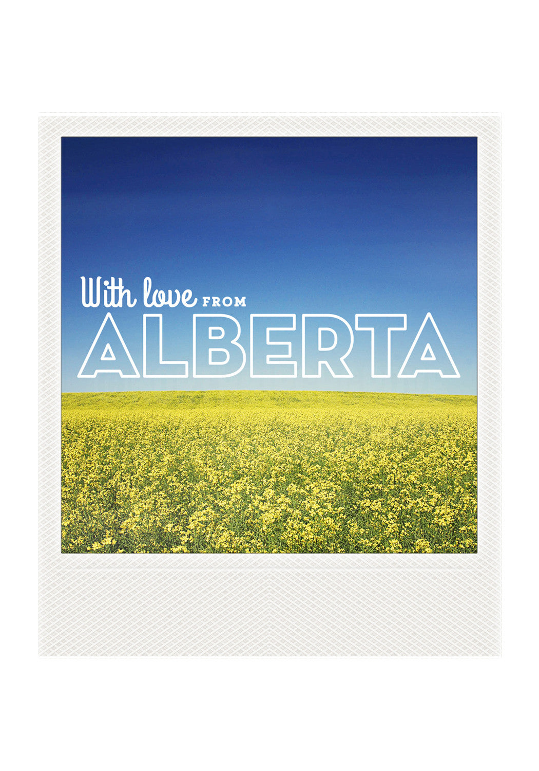 Imán Polaroid metálico<br> Con amor desde Alberta Canola