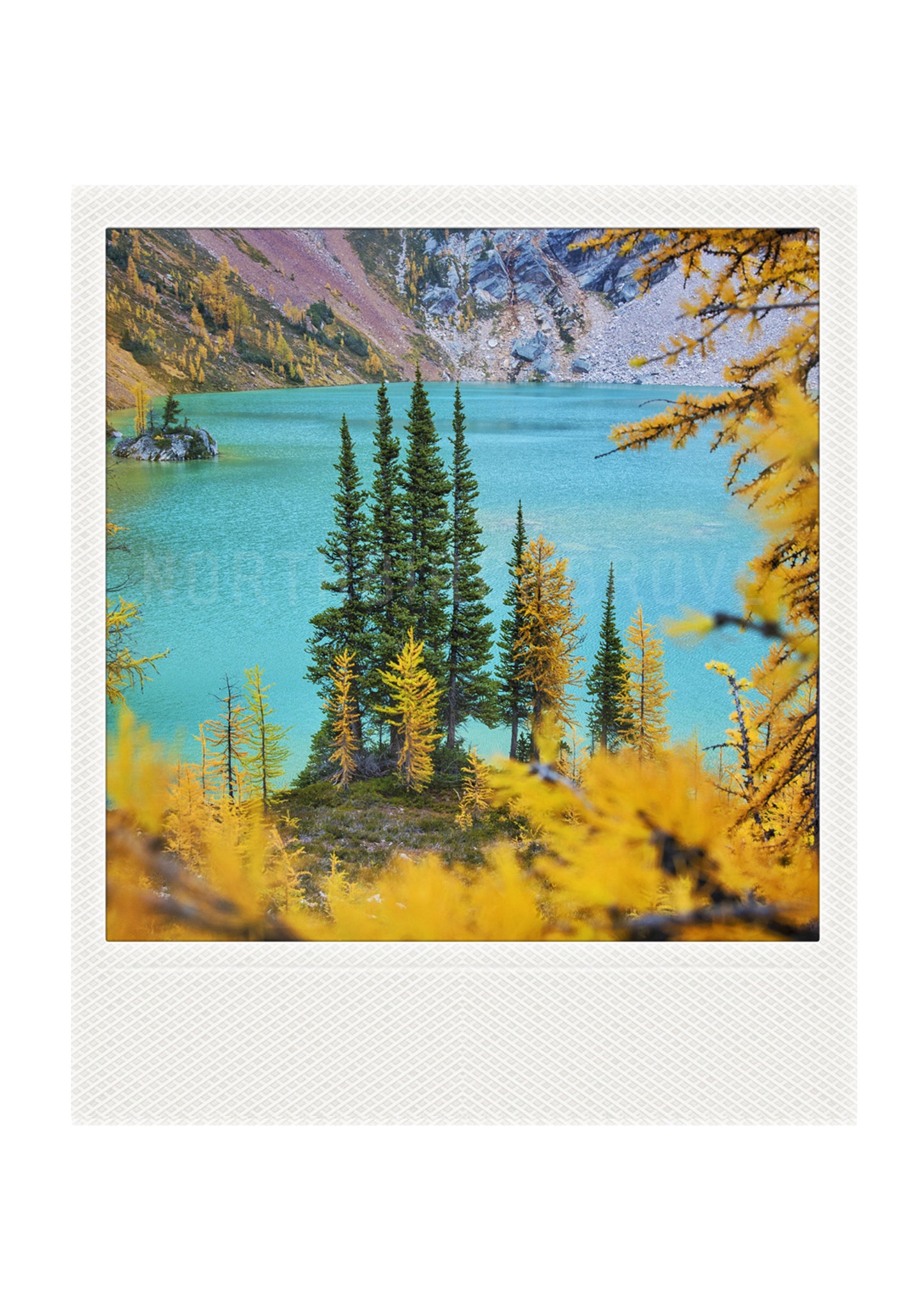 Metallic Polaroid Magnet Autumn Larches