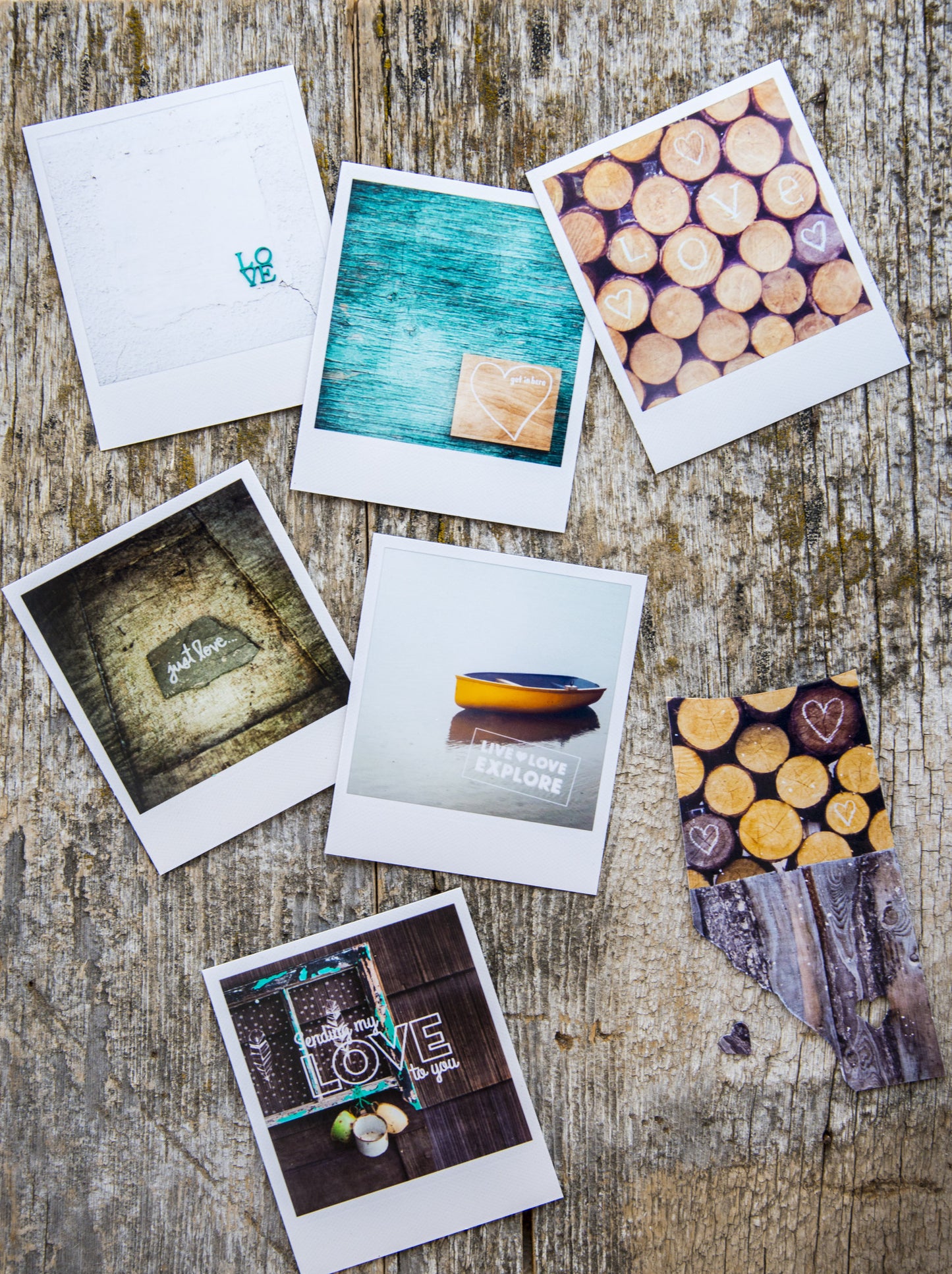 CLEARANCE <br> Metallic Polaroid Magnet <br>Poppies Along the Ocean