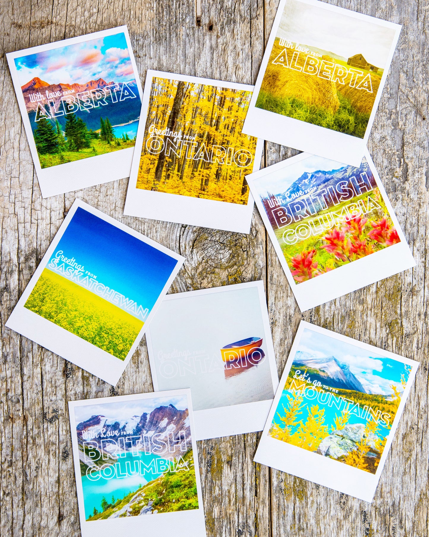 Polaroid Magnet Kananaskis Country Alberta Rockies