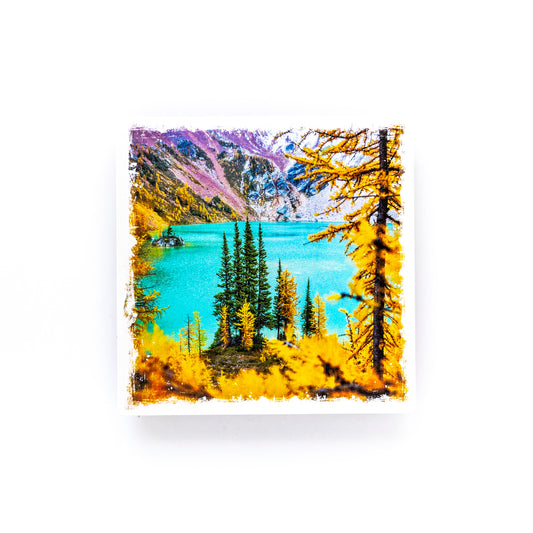 Glacial Lake & Larch Trees British Columbia Birch Wood Photo Coaster
