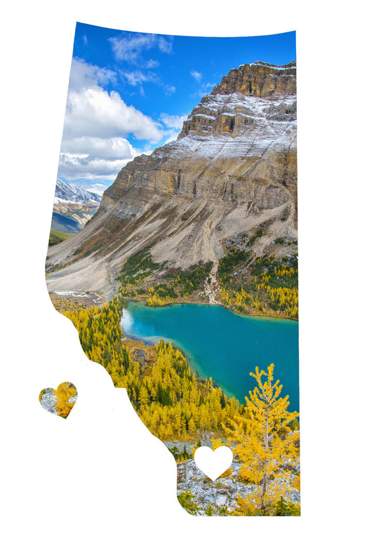 Imán de amor de Alberta<br> Alerces del Parque Nacional Banff