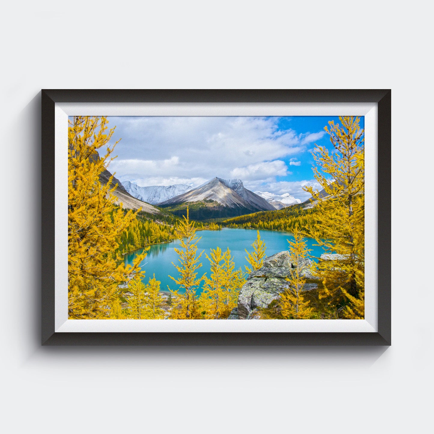 Luz de la mañana en el Parque Nacional Banff<br> Impresión cromogénica de bellas artes de archivo