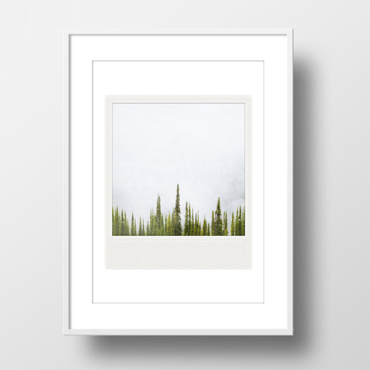 Metallic Polaroid Magnet Fir Trees + Fog