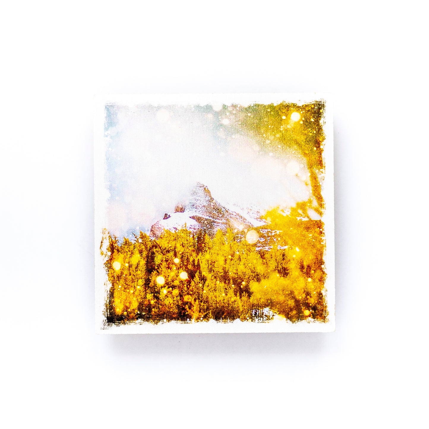 Larch Trees & The Monarch Mountain Banff National Park Birch Wood Photo Coaster