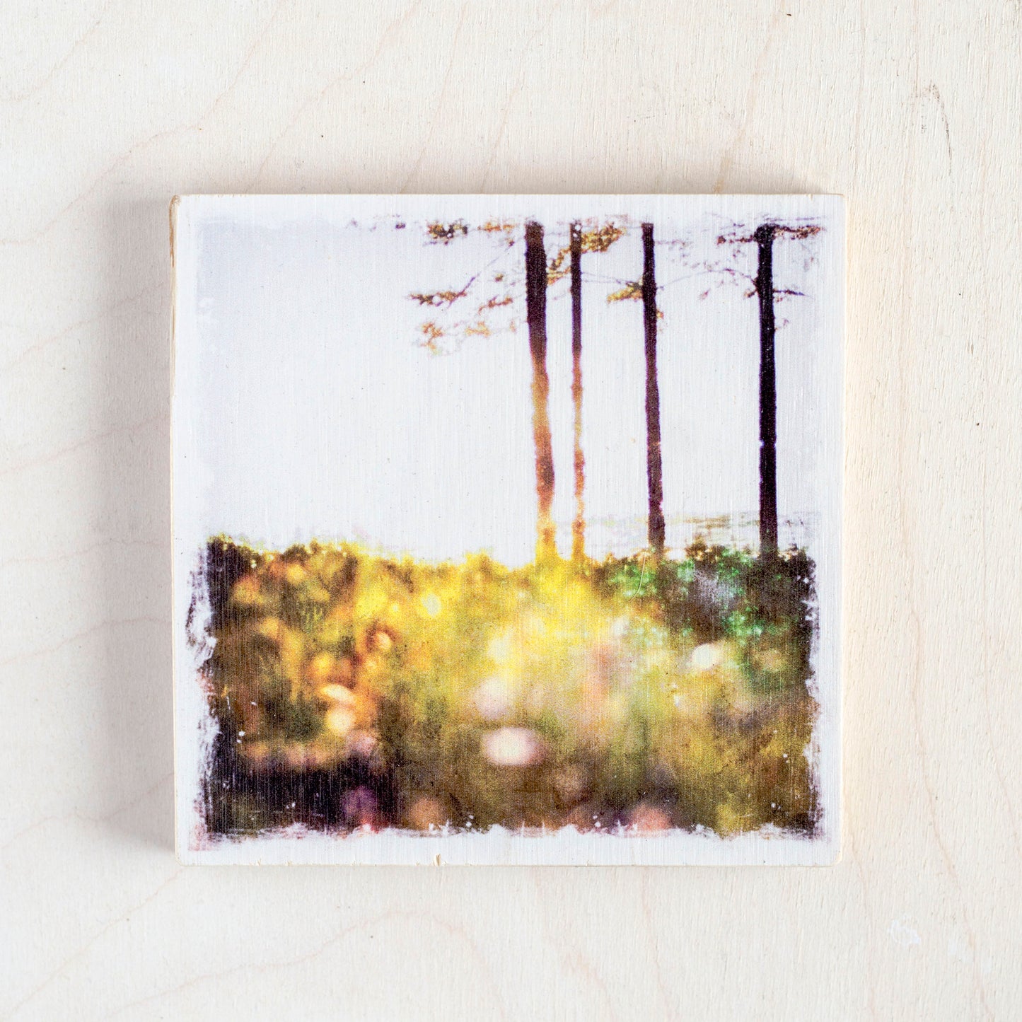 SALE <br> Birch Wood Photo Coaster <br> 4x4" Matte Finish