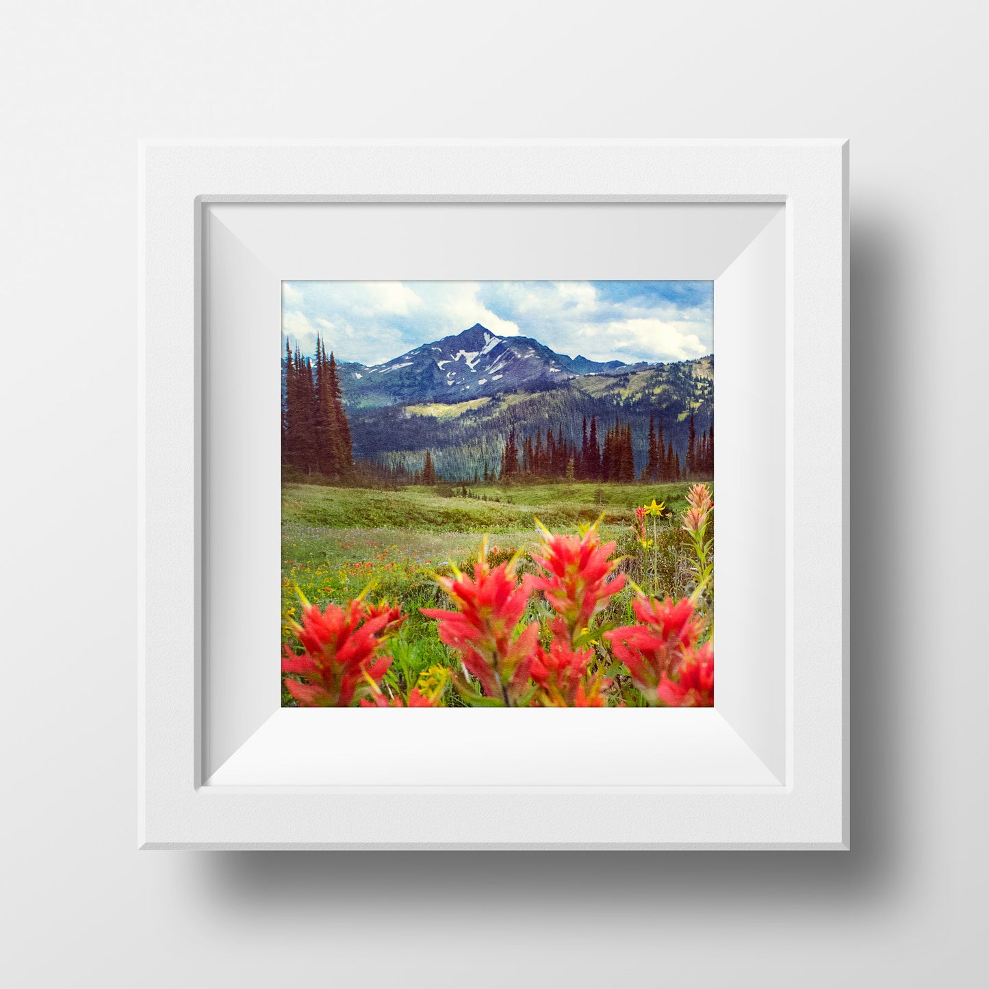 Paintbrushes + Meadows <br>Wildflowers in B.C<br>Archival Fine Art Chromogenic Print