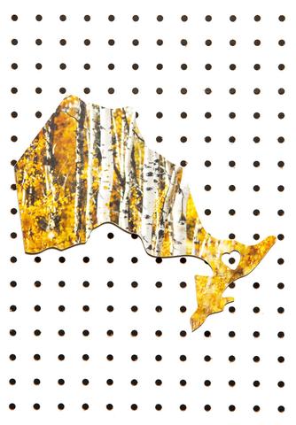 Ontario Landscape<br> Autumn Birch Stand <br>Photo on Birch Wood Panel <br> SHIPS FREE