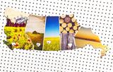 5 Province Collection No. 3 <br> Photos on Birch Wood Panels<br>SHIPS FREE