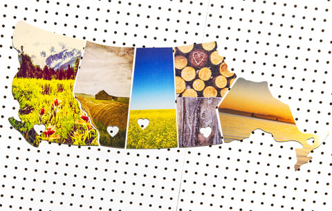 5 Province Collection No. 3 <br> Photos on Birch Wood Panels<br>SHIPS FREE
