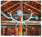 CLEARANCE  Limited 6x7" Print <br> Banff Backcountry Lodge<br> Satin Finish