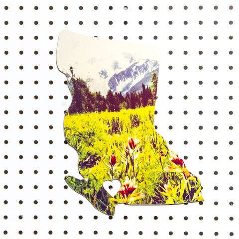 BC Landscape <br> Red Wildflowers<br> Photo on Birch Wood Panel <br>