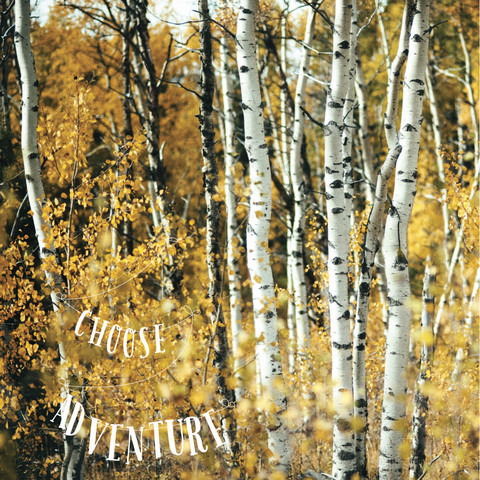 092 Discontinued Limited Print <br>Choose Adventure + Aspens<br> Archival Fine Art Chromogenic Print