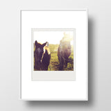 Discontinued <br>Metallic Polaroid Magnet <br>Alberta Horses at Sunset