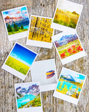 Discontinued Polaroid Magnet <br>Vintage Typewriter <br> Metallic Finish