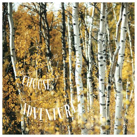 4x4" Matte Postcard / Print <br>Choose Adventure!