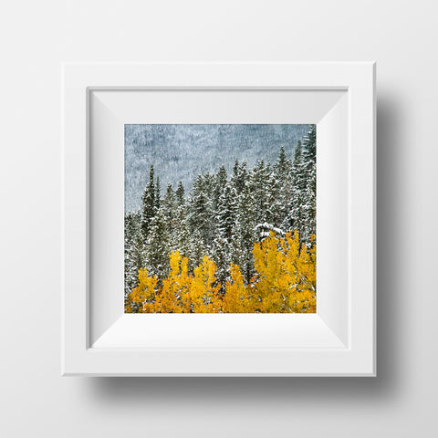 CLEARANCE Print<br>Kananaskis Autumn Snowfall<br>Metaliic Finish + Various Sizes