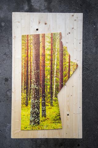 Large Wood Print <br> Manitoba Province  <br> Photo on Plywood Panel<br>7 Styles