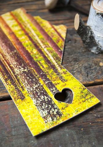 Manitoba Landscape<br>Forest <br>Photo on Birch Wood Panel <br> SHIPS FREE