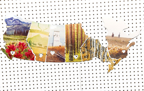 6 Province Collection No. 2 <br> Photos on Birch Wood Panels<br>SHIPS FREE