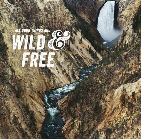 Discontinued Limited Print <br>All Good Things Are Wild + Free <br> Archival Water Colour Paper Print