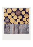 CLEARANCE Polaroid Magnet <br>Collected Woodpile + Hearts <br> Metallic Finish